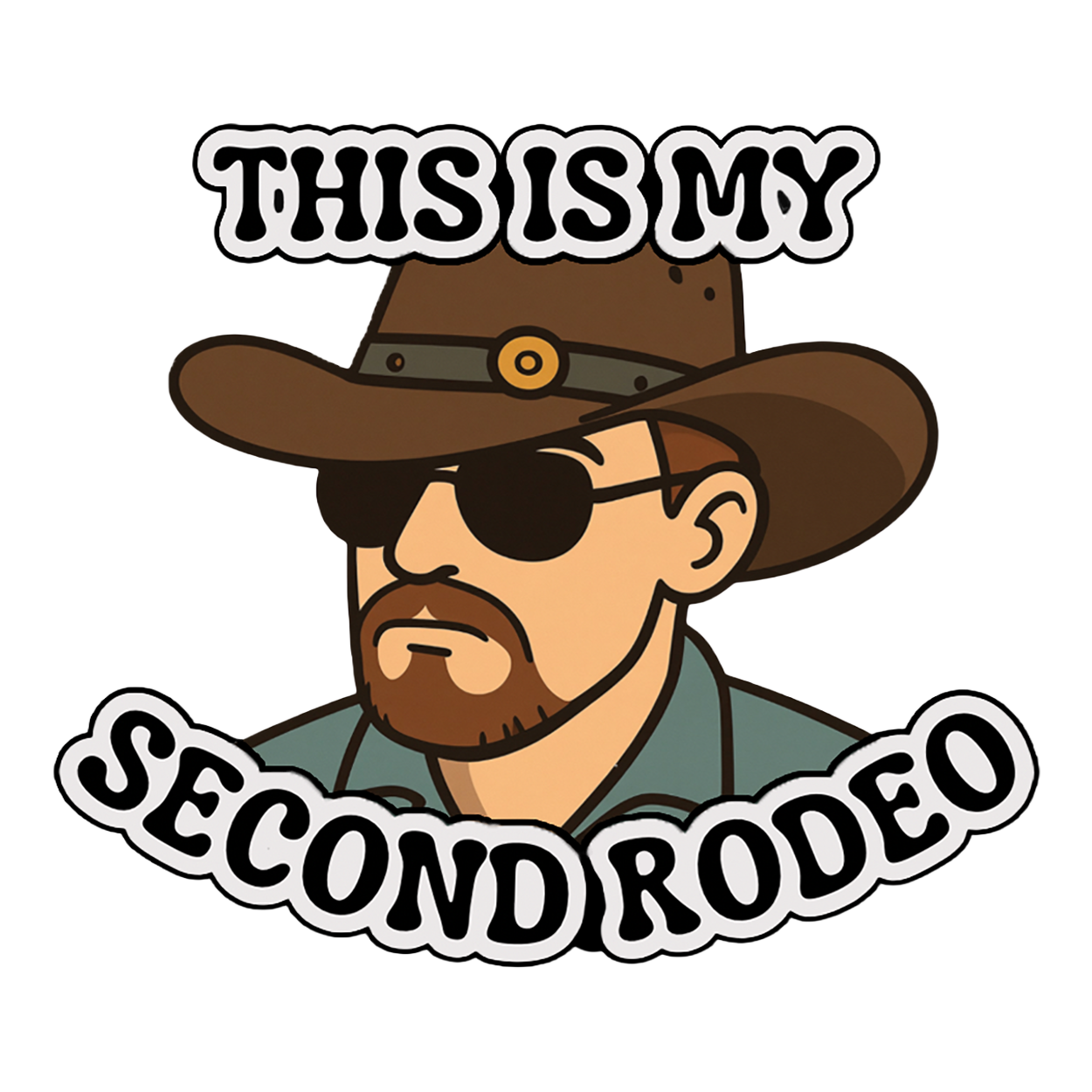 This Is My Second Rodeo funny vinyl sticker