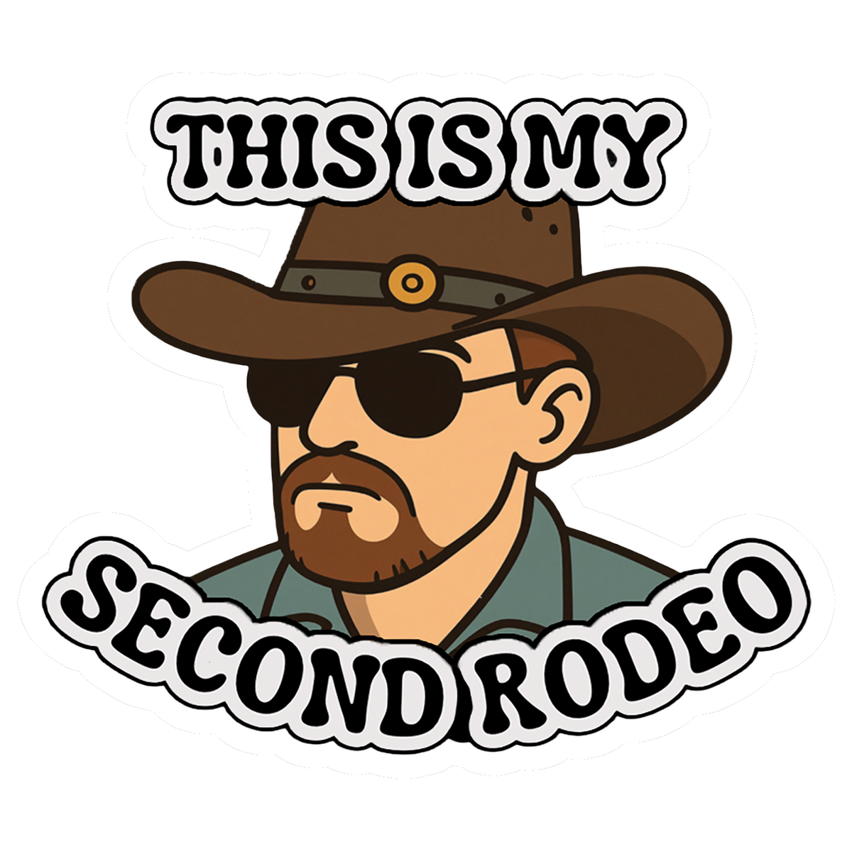 This Is My Second Rodeo funny vinyl sticker